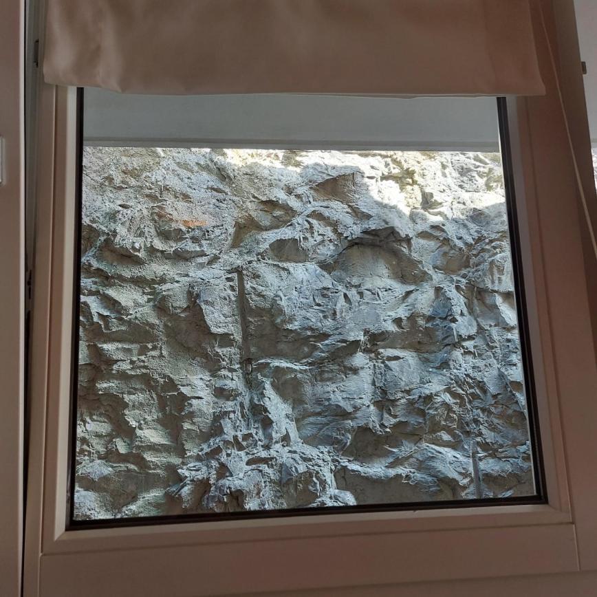 מאלצ'סינה Villa Treccani Apartments מראה חיצוני תמונה