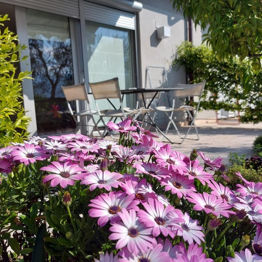 מאלצ'סינה Villa Treccani Apartments מראה חיצוני תמונה